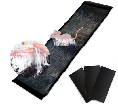 Super Sticky Mouse Trap Pad | Buy 1 Get 1 Free