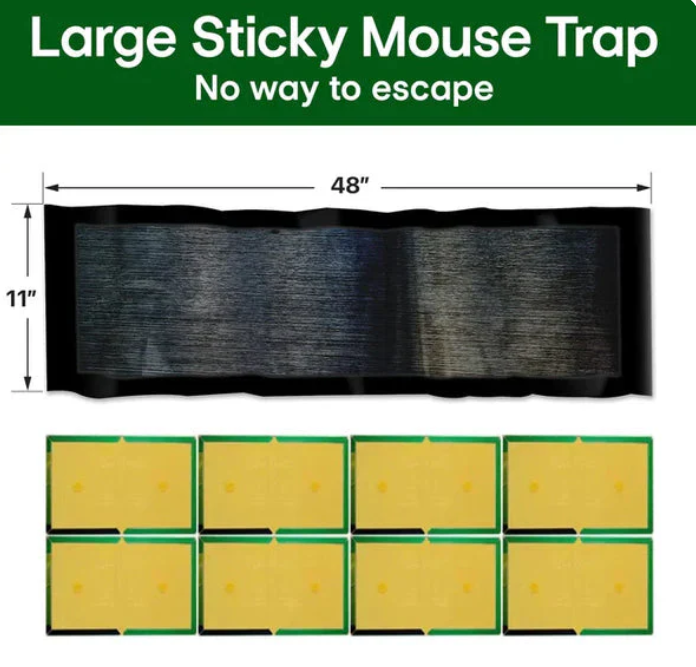 Super Sticky Mouse Trap Pad | Buy 1 Get 1 Free